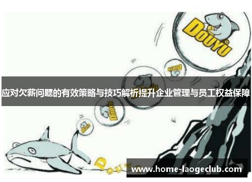 应对欠薪问题的有效策略与技巧解析提升企业管理与员工权益保障