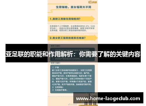 亚足联的职能和作用解析：你需要了解的关键内容