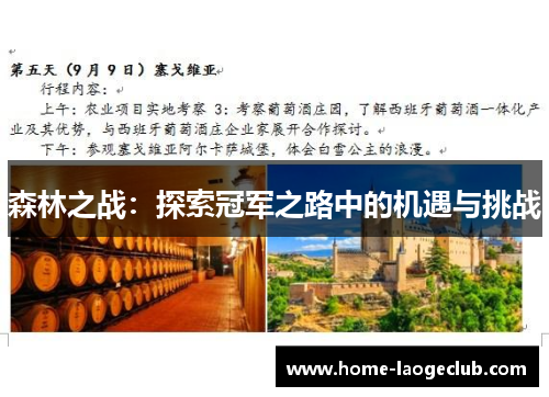 森林之战：探索冠军之路中的机遇与挑战