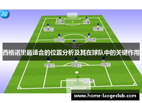 西格诺里最适合的位置分析及其在球队中的关键作用