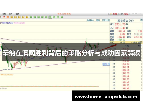 辛纳在澳网胜利背后的策略分析与成功因素解读