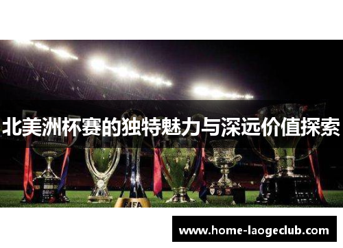 北美洲杯赛的独特魅力与深远价值探索