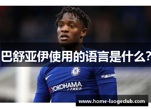 巴舒亚伊使用的语言是什么？