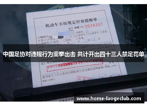 中国足协对违规行为重拳出击 共计开出四十三人禁足罚单