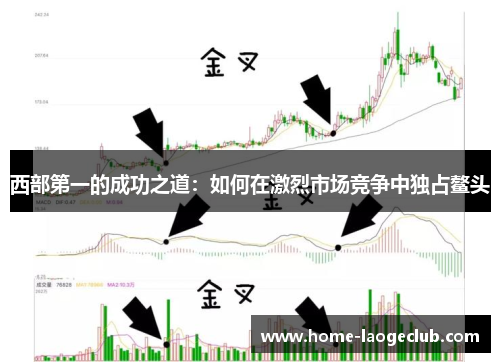 西部第一的成功之道:如何在激烈市场竞争中独占鳌头 西部第一的成功之道:如何在激烈市场竞争中独占鳌头