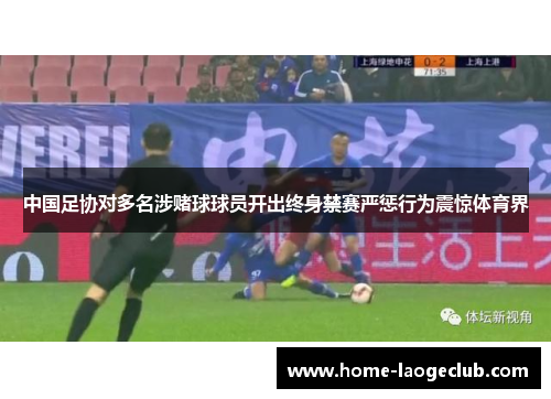 中国足协对多名涉赌球球员开出终身禁赛严惩行为震惊体育界