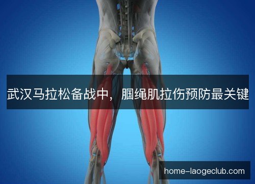 武汉马拉松备战中,腘绳肌拉伤预防最关键 武汉马拉松备战中,腘绳肌拉伤预防最关键